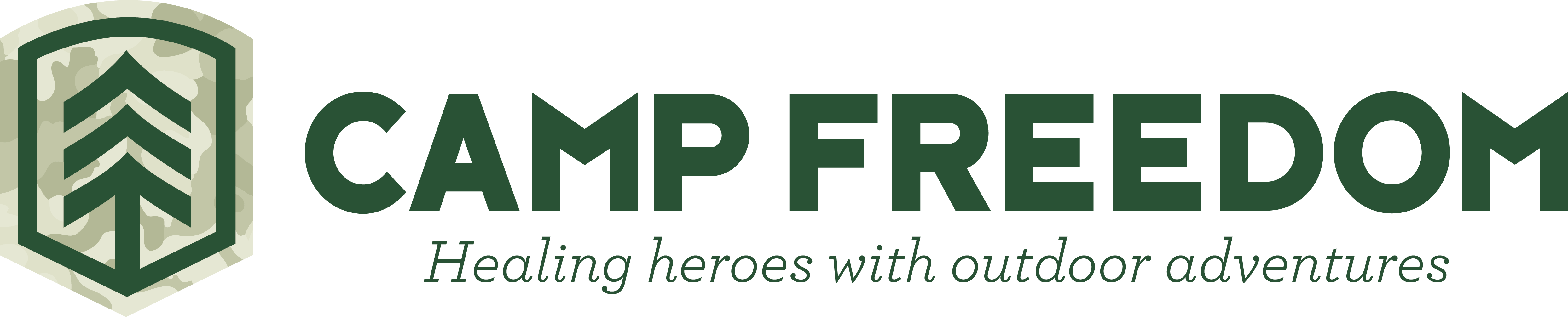 Corporate Philanthropy: Camp Freedom.